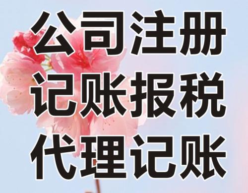 偃師財務(wù)代理記賬服務(wù) 讓信息服務(wù)業(yè)務(wù)放心可靠
