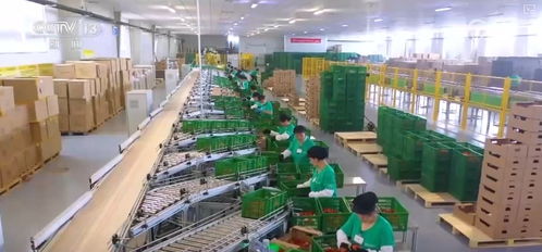 長沙軟件開發(fā)在推動(dòng)農(nóng)業(yè)適度規(guī)模經(jīng)營與促進(jìn)小農(nóng)戶融入現(xiàn)代農(nóng)業(yè)中的作用