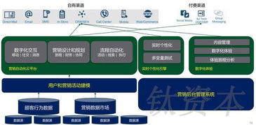 數(shù)字文化創(chuàng)意軟件開(kāi)發(fā) 中國(guó)零售業(yè)數(shù)字化轉(zhuǎn)型的核心引擎與品類(lèi)分析